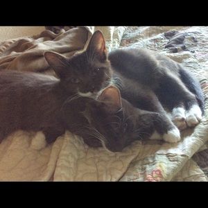 We gonna show u how 2 bundle n save